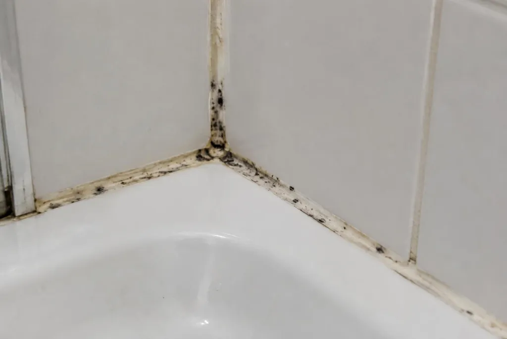 Kitbedrijf Kamerik – beschimmelde kitranden